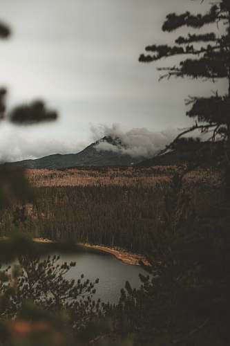 grey landscape photo of mountain and trees three creek lake